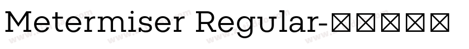 Metermiser Regular字体转换